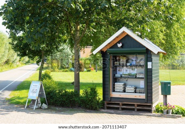 Overview of chicken road gokspel