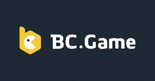 Comprehensive Overview of the BC App Comprehensive Overview of the BC App